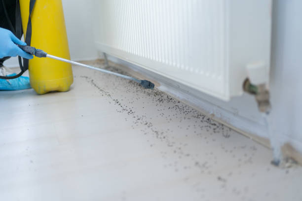 Best Best Pest Control Companies  in Centuria, WI